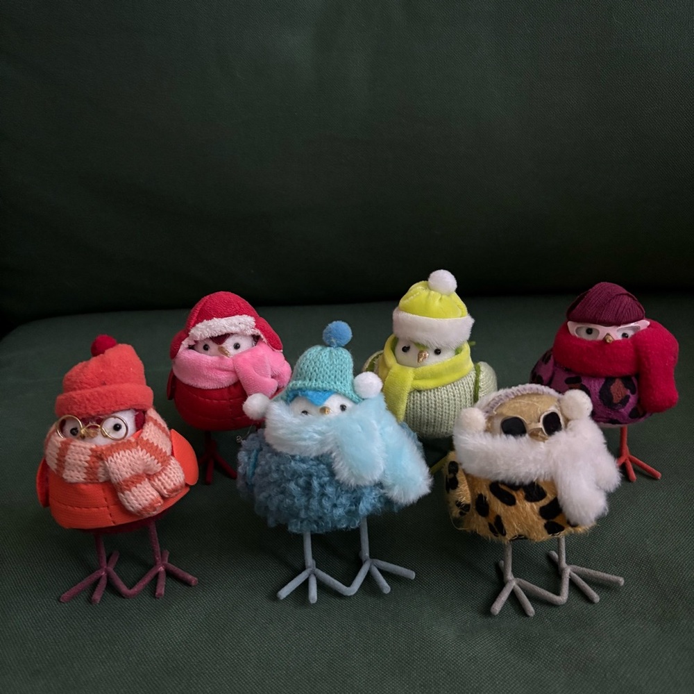 Colorful Winter Birds Decor Set